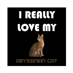 I Really Love My Abyssinian Cat Posters and Art